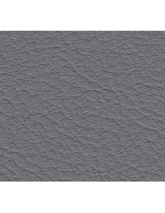 Tapizado Real 08 LightGrau