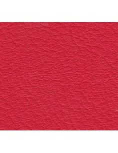 Tapizado Real 24 Rot