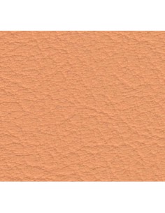 Tapizado Real 25 Melone