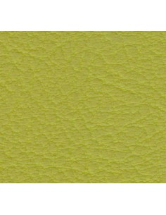 Tapizado Real 36 Avocado